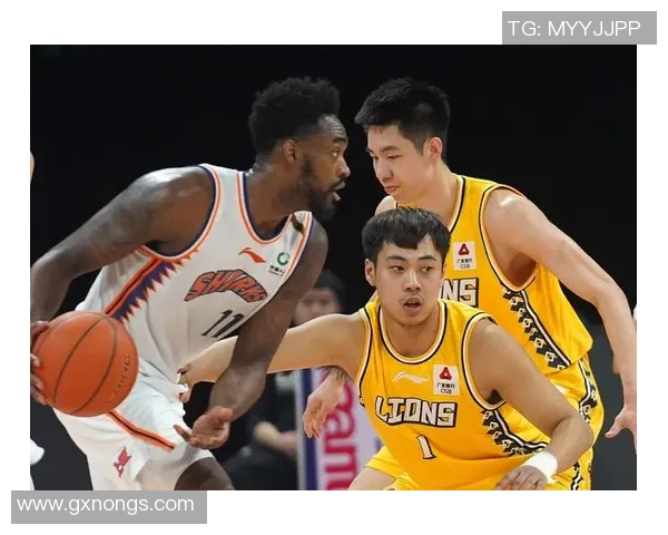 杭州篮球队在总决赛积分榜上以58分稳居第一名展现强大实力