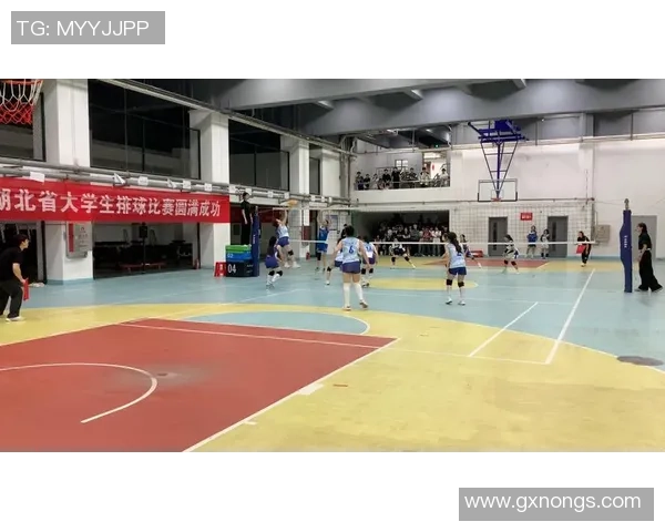 武汉排球队在全国锦标赛中的实力展现与未来发展潜力分析