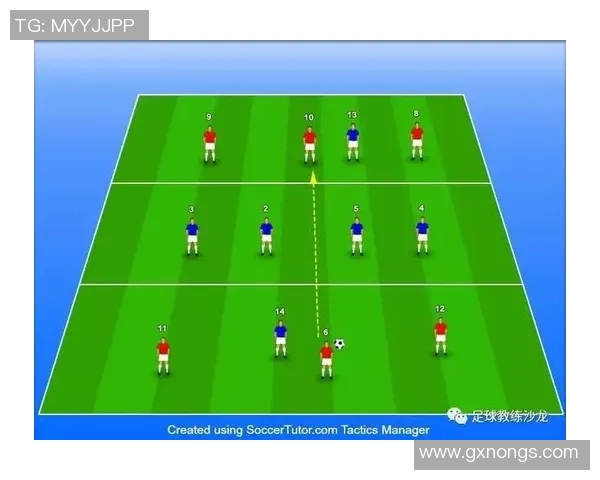 深入分析杭州乒乓球队区域防守战术的优势与应用策略