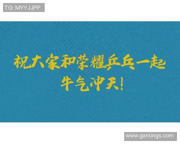 深圳乒乓球队拼搏历程揭秘努力与荣耀交织的奋斗故事