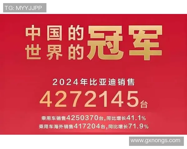 深圳排球队的崛起之路：从默默无闻到全国瞩目的成长传奇