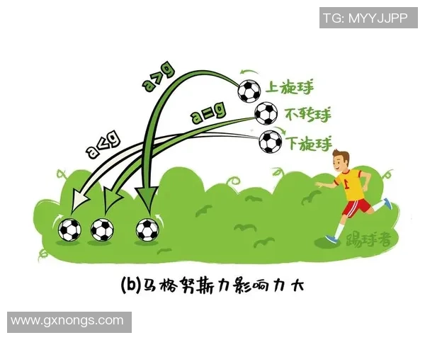 足球明星日常游戏生活揭秘与他们的竞技精神碰撞的奇妙瞬间