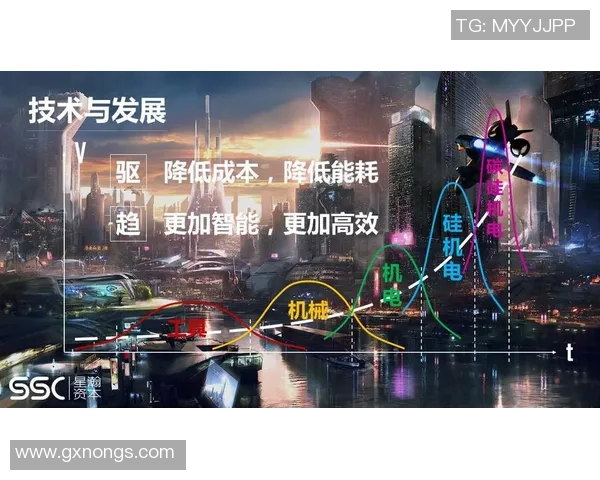 重庆网球队在世锦赛中的团队协作表现分析与启示