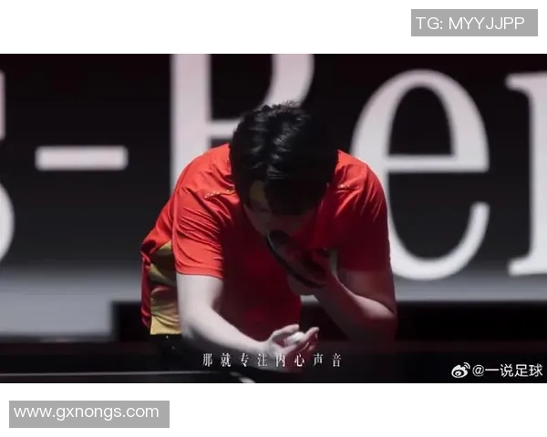 陈娜专访：从青涩小将到网球明星的成长之路回顾