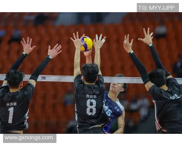 排球热点：解读重庆排球队的控制