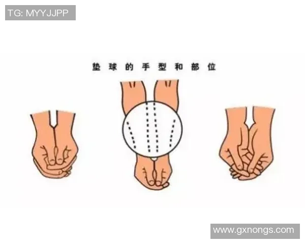 排球新手攻略:耐力入门指南 排球新手攻略:耐力入门指南