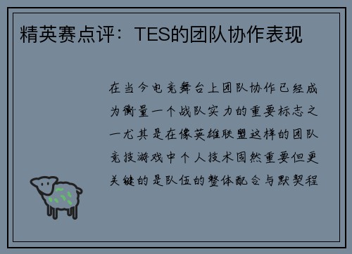 精英赛点评：TES的团队协作表现