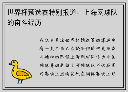 世界杯预选赛特别报道：上海网球队的奋斗经历